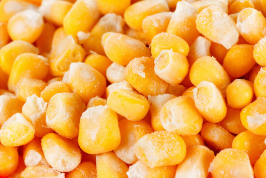 Close-up of dried yellow corn kernels with husks, ideal for wholesale food suppliers and commercial food processing operations.