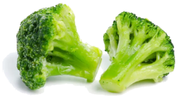 Fresh trimmed broccoli florets with water droplets, ideal for wholesale food suppliers and commercial foodservice distribution.