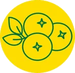 Fruit icon